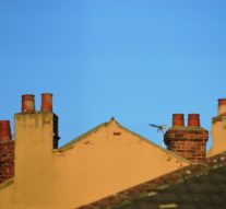 Why Is Buy To Let Still Exceeding Industry Expectations?