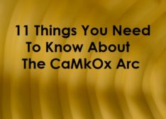 CaMkOx